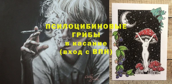 шишки Алзамай