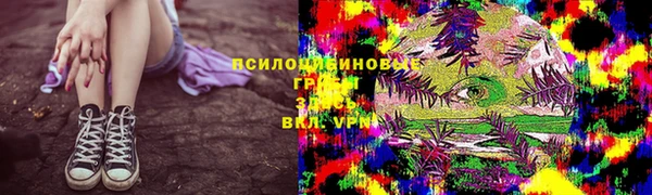 шишки Алзамай