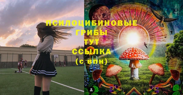 соль курить ск Алексин